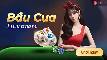 bongda365 sân chơi livestream bầu cua
